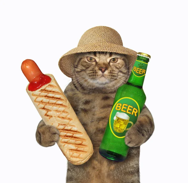 Μπεζ Γάτα Ψάθινο Καπέλο Τρώει Ένα Χοτ Ντογκ Και Πίνει — Φωτογραφία Αρχείου