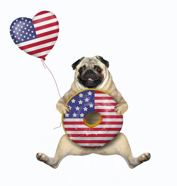 Der Mops Hund Patriot Hält Einen Großen Amerikanischen Donut Und — Stockfoto