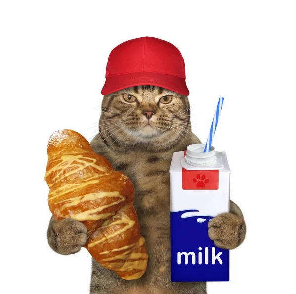 Gato Bege Com Uma Tampa Vermelha Está Segurando Croissant Uma — Fotografia de Stock