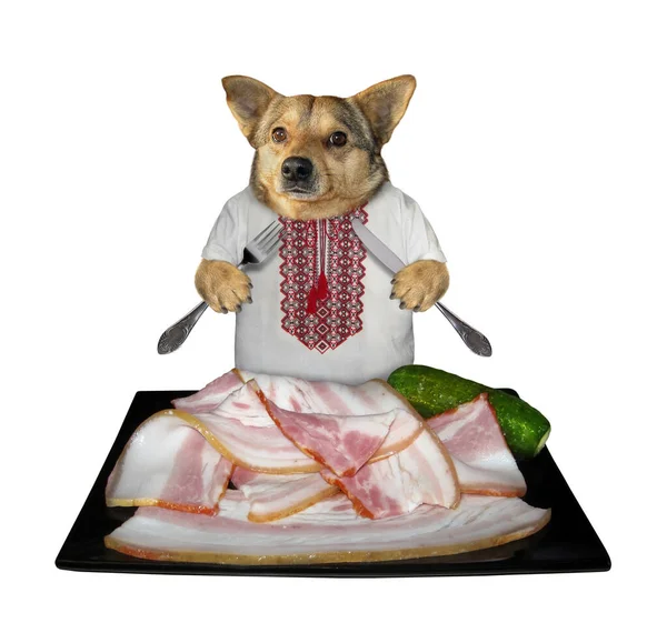 Beige Dog Patriot Ukrainian Traditional Shirt Knife Fork Eating Sliced — Stock Photo, Image