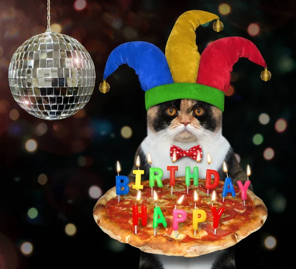 Multicolored Cat Clown Jester Hat Carries Holiday Pizza Multi Colored — Stock Photo, Image