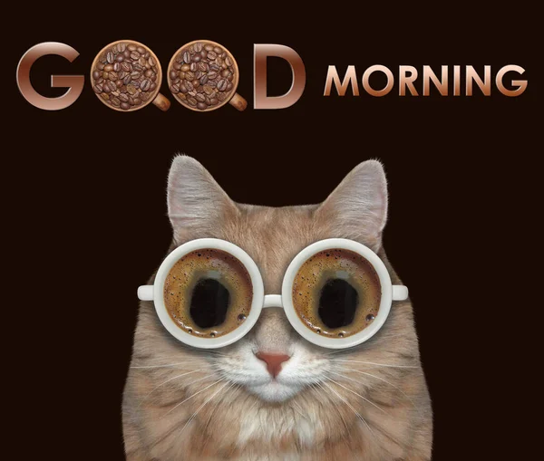 Beige Cat Glasses Made Cups Black Coffee Good Morning Black — Stock Photo, Image