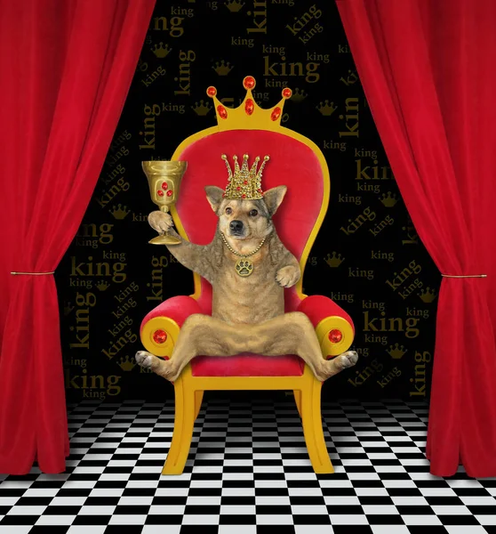 The beige dog king in a golden crown is sitting in the red throne and drinking wine from a goblet with rubies.