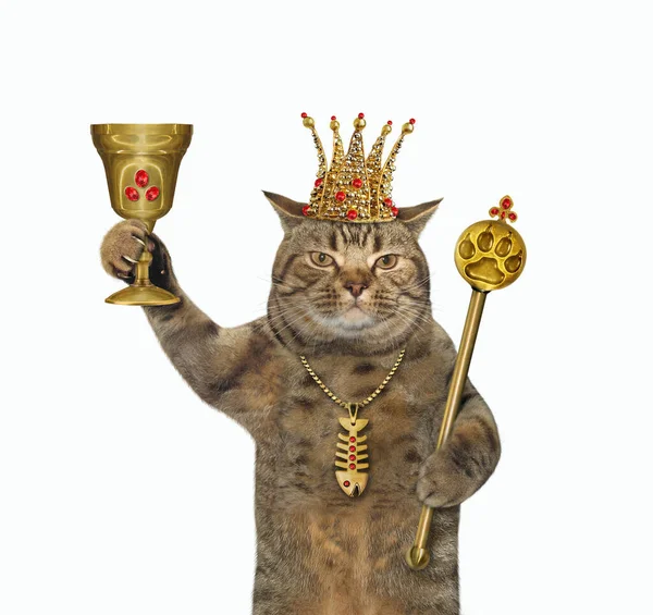 头戴金色王冠 头戴金色鱼骨垂饰的米色猫王正拿着一个镶有红宝石和王室权杖的高脚杯 白色背景 被隔离了 — 图库照片