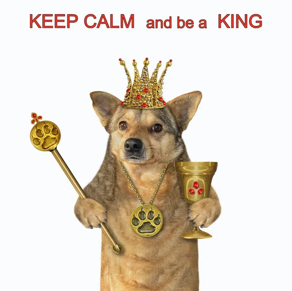 Beżowy Pies Koronie Złotą Łapą Wisiorek Nadrukiem Trzyma Puchar Rubinami — Zdjęcie stockowe