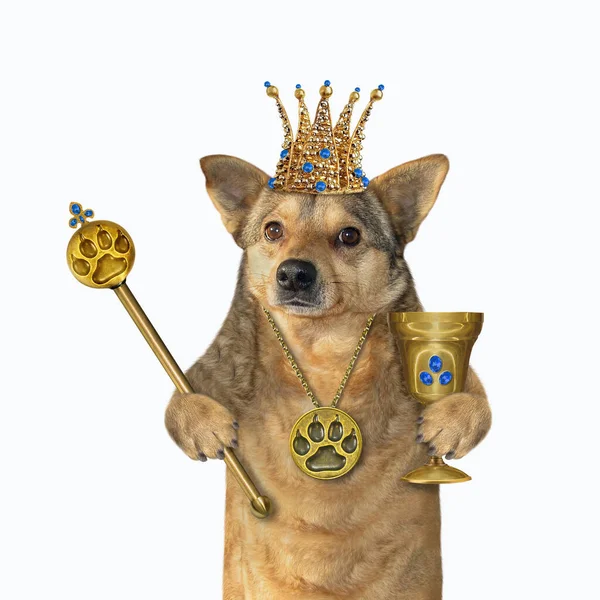 Der Beige Hundekönig Einer Krone Mit Goldenem Pfotenabdruck Anhänger Hält — Stockfoto