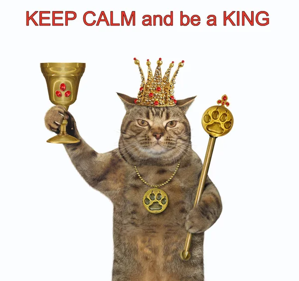 头戴金爪纹吊坠的米色猫手里拿着一个红宝石酒杯和一个王冠 保持冷静 做个国王 白色背景 被隔离了 — 图库照片