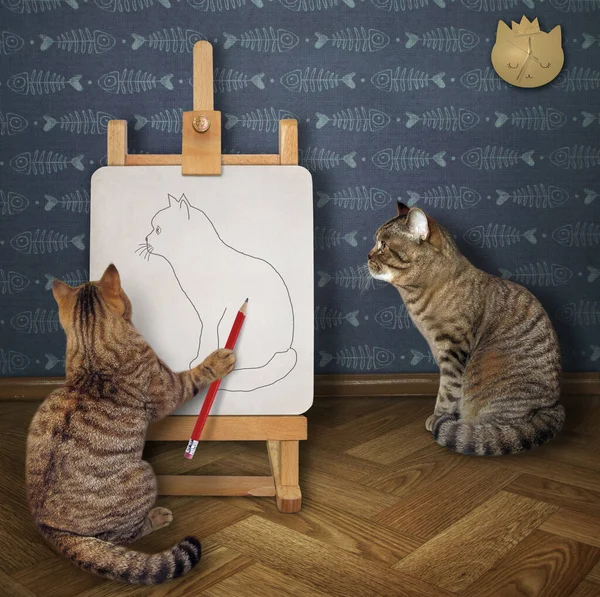 Der Beige Katzenkünstler Mit Bleistift Zeichnet Seinen Freund Der Werkstatt — Stockfoto