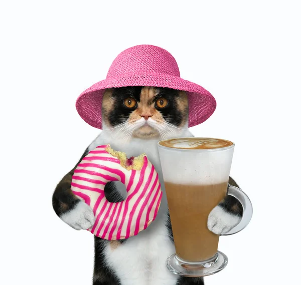 Un Gato Joven Y Fluffy Sabe a Mariscos Y Café Con Chocolate Sobre La Mesa  Foto de archivo - Imagen de cristal, capuchino: 177908802