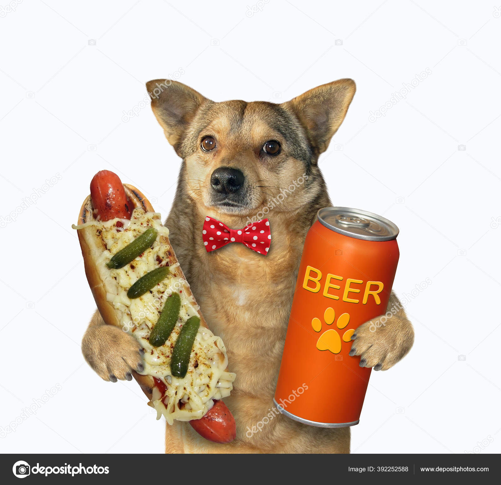 Cão Bege Com Laço Está Comendo Cachorro Quente Bebendo Cerveja — Foto ©  Iridi #392252588, image size:1600x1551