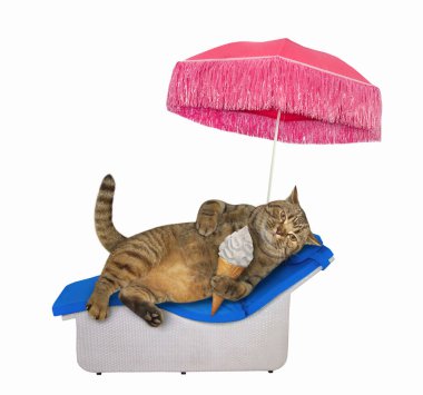 Bej kedi plaj şezlongunda uzanıyor ve pembe bir saman şemsiyesinin altında dondurma külahı yiyor. Beyaz arka plan. İzole edilmiş.