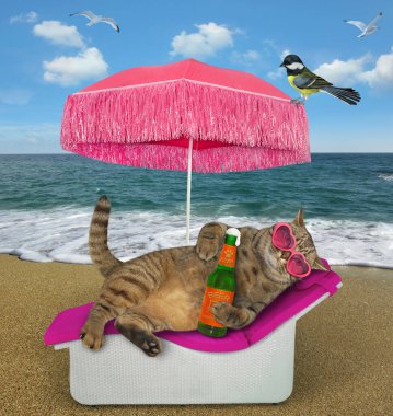 Pembe kalp şeklinde güneş gözlüklü bej kedi bir plaj şezlongunda uzanıyor ve denizin sahilinde saman şemsiyesinin altında bira içiyor. Yanında bir kuş var..