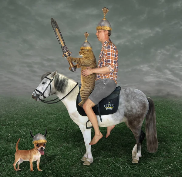 The beige cat with a sword and a man are riding a gray horse in the meadow. Their dog in a helmet with horns is next to them.