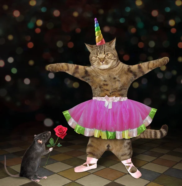 Unicorno Gatto Beige Abiti Ballerina Sta Ballando Sul Palco Ratto — Foto Stock