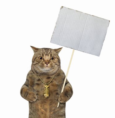 Altın balık kemikli büyük gözlü bej kedi boş bir tabela tutuyor. Beyaz arka plan. İzole edilmiş.