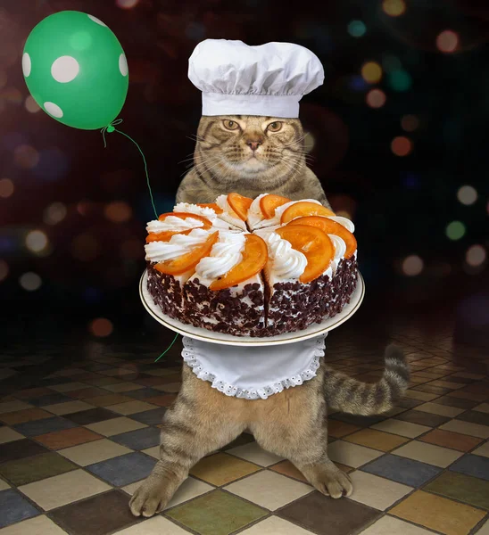 Beige Cat White Cook Uniform Green Balloon Holding Holiday Orange — Stock Photo, Image