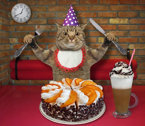 The beige big eyed cat in a party hat with a fknife and a fork in his paws is eating a holiday orange cake and drinking coffee with whipped cream at a table in a restaurant.