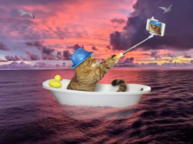 Akıllı telefonlu bej renkli kedi özçekim yapıyor ve açık denizdeki bir küvette kızıl bir günbatımının arka planına doğru sürükleniyor..