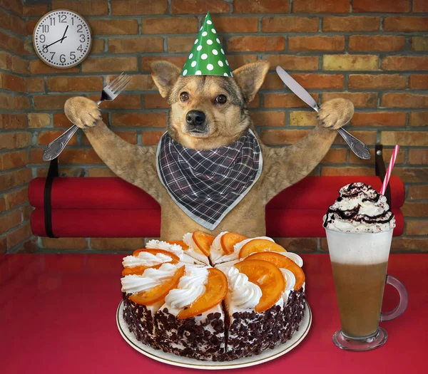 The beige dog in a party hat with a fknife and a fork in his paws is eating a holiday orange cake and drinking coffee with whipped cream at a table in a restaurant.