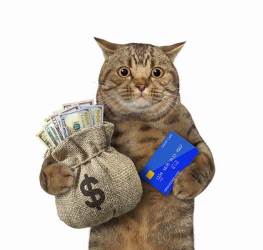 Bej renkli büyük gözlü kedi bir kredi kartı ve dolar dolu bir çuval tutuyor. Beyaz arka plan. İzole edilmiş.