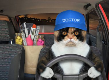 Mavi şapkalı çok renkli kedi doktoru gece otoyolda kırmızı bir araba kullanıyor. Yanında ilaç ve tıbbi gereçlerle dolu bir kese kağıdı var..