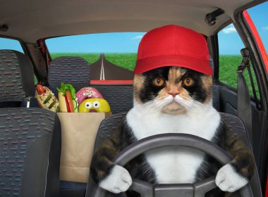 Şapkalı çok renkli kedi otoyolda kırmızı bir araba kullanıyor. Yanında yiyecek dolu bir kese kağıdı var..
