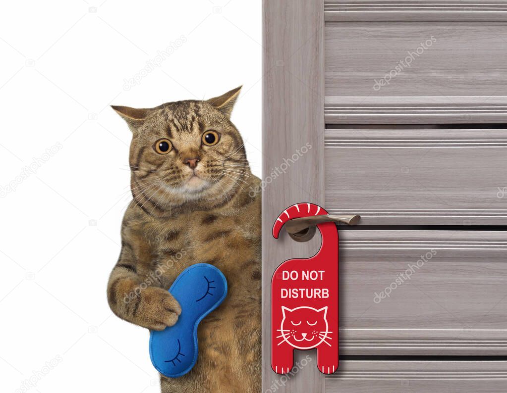 The beige big eyed cat with a blue sleep mask closes the door of his hotel room.  A red sign with text do not disturb is hanging on a doorknob. White background. Isolated.