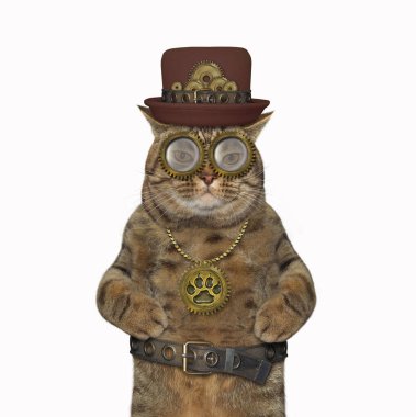Bej renkli steampunk kedi bir şapka, metal kemer ve gözlük takıyor. Beyaz arka plan. İzole edilmiş.