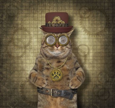 Bej renkli steampunk kedi şapka, metal kemer ve gözlük takıyor..