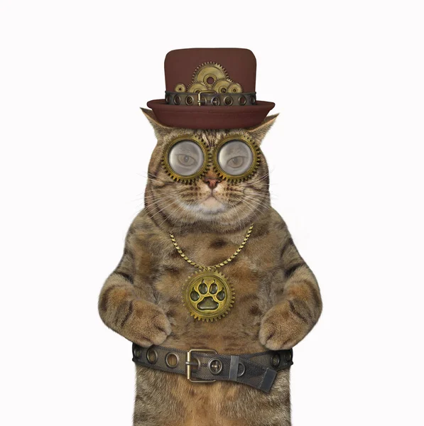 Gatto Steampunk Beige Cappello Cintura Metallica Occhiali Sfondo Bianco Isolato — Foto Stock