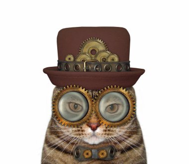 Bej renkli steampunk kedi bir şapka, metal bir papyon ve gözlük takıyor. Beyaz arka plan. İzole edilmiş.