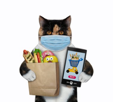 Koruyucu maskeli çok renkli kedi bir torba yiyecek ve akıllı telefon tutuyor. İnternetten yemek sipariş ediyor. Beyaz arka plan. İzole edilmiş.