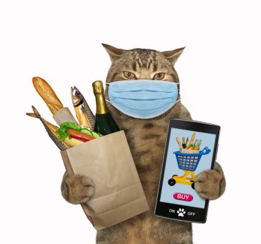 Koruyucu maskeli bej kedi bir torba yiyecek ve akıllı telefon tutuyor. İnternetten yemek sipariş ediyor. Beyaz arka plan. İzole edilmiş.