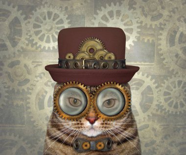 Steampunk kedisi bir şapka, metal bir papyon ve gözlük takıyor. Bej arkaplan.