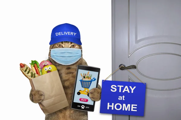 The cat courier in a protective mask with food and a smartphone is near a door with sign that says stay at home. White background. Isolated.