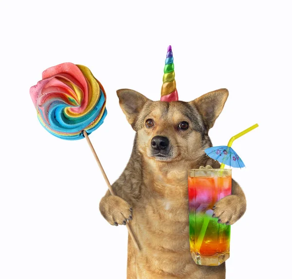 Den Beige Hundenhörningen Håller Klubba Och Ett Glas Regnbågsjuice Med — Stockfoto