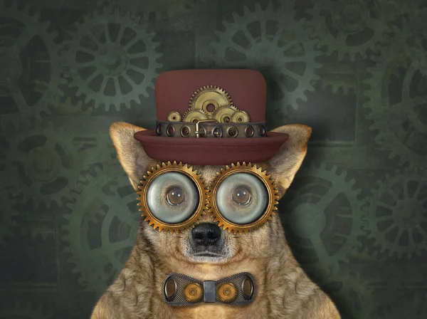The beige steampunk dog is in a hat, a metal bow tie and glasses. Green background.