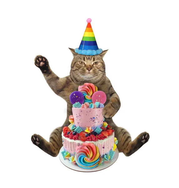 Gato Beige Sombrero Cumpleaños Está Sentado Cerca Pastel Dos Niveles —  Fotos de Stock