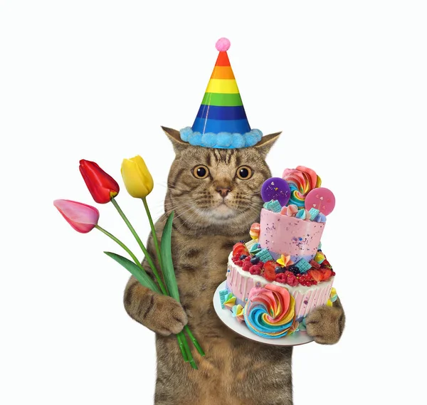 The beige big eyed cat in a birthday hat is holding a two tiered cake and flowers. White background. Isolated.