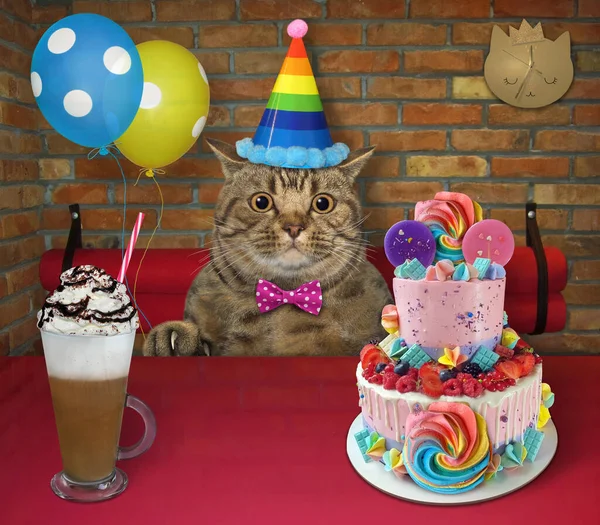 The beige big eyed cat in a party hat with balloons is eating a holiday two tiered cake and drinking coffee with whipped cream at a table in a restaurant.