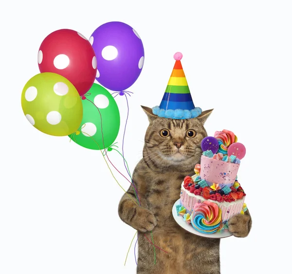 The beige big eyed cat in a birthday hat is holding a two tiered cake and colored balloons. White background. Isolated.