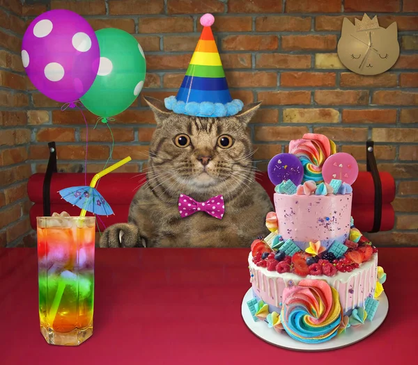 Beżowy Duży Kot Kapeluszu Imprezowym Balonami Dwupoziomowy Tort Pije Sok — Zdjęcie stockowe