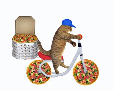 Mavi şapkalı bej kedi kuryesi bisikletle pizza teslim ediyor. Beyaz arka plan. İzole edilmiş.
