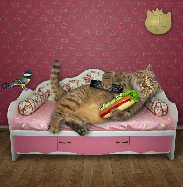 The lazy cat with a tv remote control and hot dog is resting on a pink couch at home. A bird is next to him. White background. Isolated.