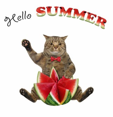 The beige cat in a red bow tie is sitting with a watermelon, carved in the shape of a flower. Hello summer. White background. Isolated. clipart