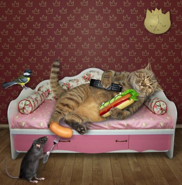 Uzaktan kumandalı tembel kedi ve sosisli sandviç pembe bir kanepede dinleniyor. Yanında bir kuş ve bir fare var. Beyaz arka plan. İzole edilmiş.