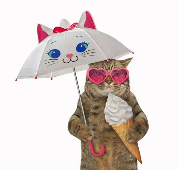 Μπεζ Γάτα Ροζ Γυαλιά Ηλίου Τον Κώνο Παγωτό Περπατάει Κάτω — Φωτογραφία Αρχείου