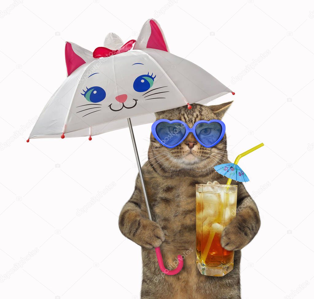 The beige cat in pink sunglasses with a glass of fruit juice is walking under a funny umbrella. White background. Isolated.