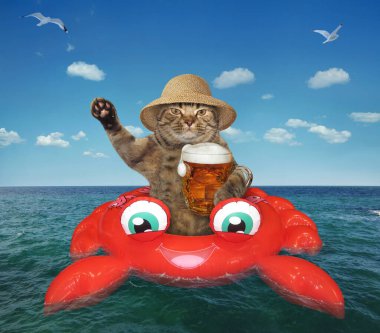 Hasır şapkalı bej kedi açık denizde şişme yengeçte bira içer..