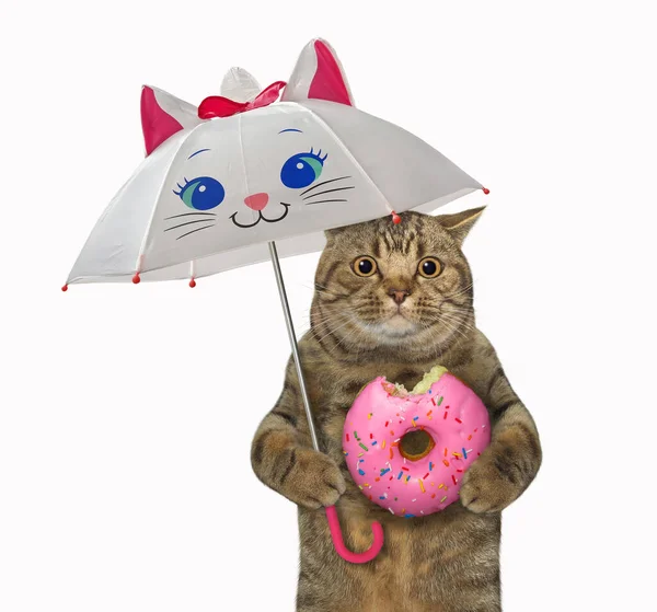 Beige Big Eyed Cat Pink Donut Walking Funny Umbrella White — Stock Photo, Image